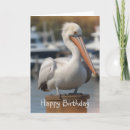 Search for boating birthday cards Wildlife