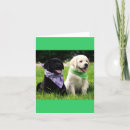 Search for black labrador puppy cards Dog