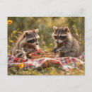 Search for cute raccoons postcards Wildlife