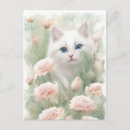 Search for white cat postcards Cute