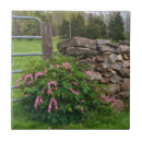Search for pasture tiles Country