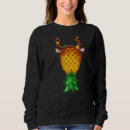 Search for blitzed Reindeer