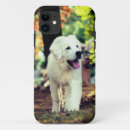Search for mammal cases Dog