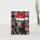 Search for lab christmas cards Pets