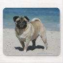Search for fawn pug mousepads Carlin