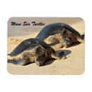 Search for honu magnets Aloha