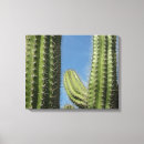 Search for desert cactus canvas prints Nature