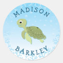 Search for ocean envelope seals Animal