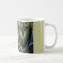 Search for megalodon mugs Paleontology