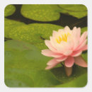 Search for dew drop stickers Nature