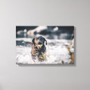 Search for play canvas prints Puppy