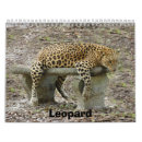 Search for leopard calendars Big