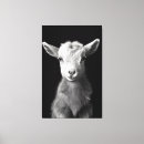 Search for goat canvas prints Farm