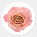 Search for pretty flower stickers Peach
