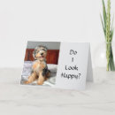 Search for wishes for brother birthday cards Photography