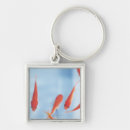 Search for goldfish key rings Nature