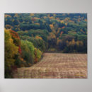 Search for effect photography Fall