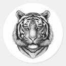 Search for black cat illustration stickers Animal