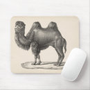 Search for camel mousepads Sketch