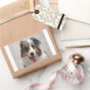 Search for merle stickers Aussie