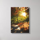 Search for fall foliage art City