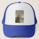 Search for grey cat hats Cute