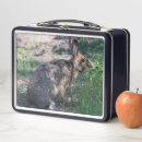 Search for rabbit lunch boxes Wildlife