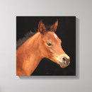 Search for arabian canvas prints Horses
