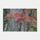 Search for fall bounty Nature