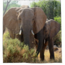 Search for african elephant bathroom accessories Pachyderm
