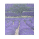Search for field notepads France