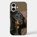 Search for black tan dachshund iphone cases Doxie