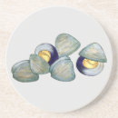 Search for shell decor coasters Sea shells