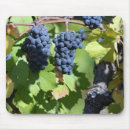 Search for winery electronics Vineyard