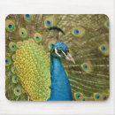 Search for photography mousepads Outdoors