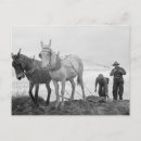Search for organic postcards French