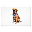 Search for pooch lover stuff posters Funny