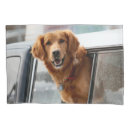 Search for retriever pillowcases Pet