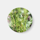 Search for mini save the dates Nature