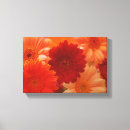 Search for orange daisy art Daisies