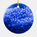 Search for aquatic life christmas tree decorations Fish