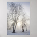 Search for white tree posters Outdoors