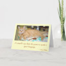 Search for sanctuary cards Cats