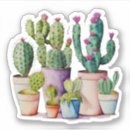 Search for cactus flower stickers Desert plants