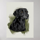 Search for labrador retriever art Animal