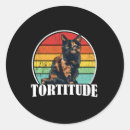 Search for tortoiseshell stickers Kitten