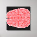 Search for neuroanatomy art Neurology