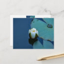 Search for pond postcards Aquatic plant