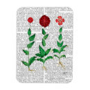 Search for carnation magnets Contemporary