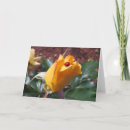 Search for ladybug cards Rose